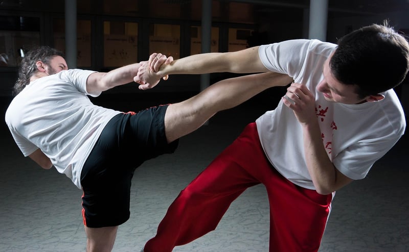 Chinese martial arts